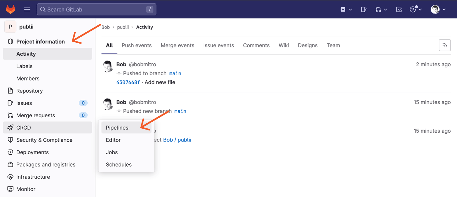 Gitlab CI/CD section